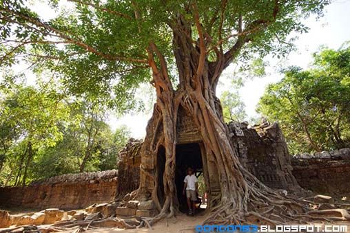 photo cambodiaDayOne11_zps2f92ba2f.jpg