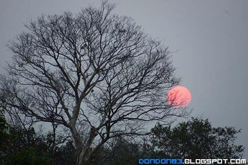 photo cambodiaDayOne27_zps4daa7f65.jpg