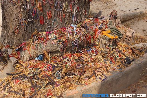 photo killingField 16_zpsxk7snqy0.jpg