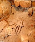 Haunch of Venison mummified hand