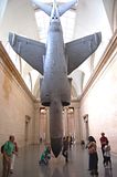 Harrier in Tate Britain