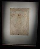 Da Vinci's Vitruvian man