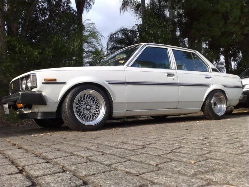 rolla-3.jpg