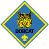 BobcatDrawing.gif