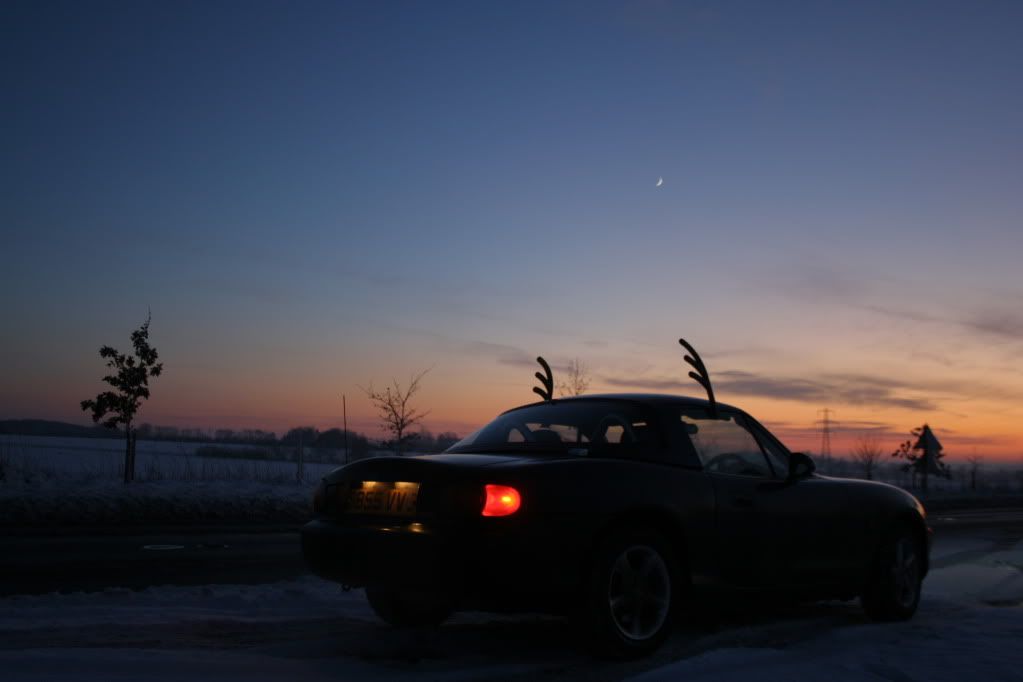 IMAGE: http://i142.photobucket.com/albums/r115/mooosehat/IMG_4040.jpg?t=1261323632