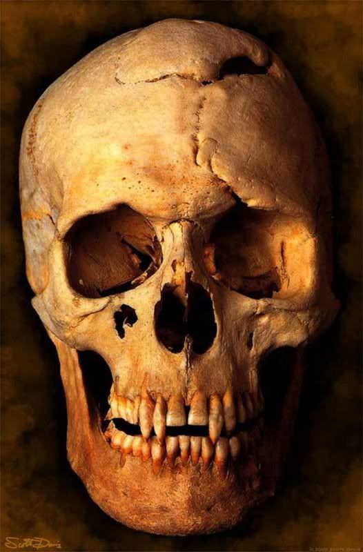 vampire skull photo: vamplordskull Vampire-Lord-Skull-epi.jpg