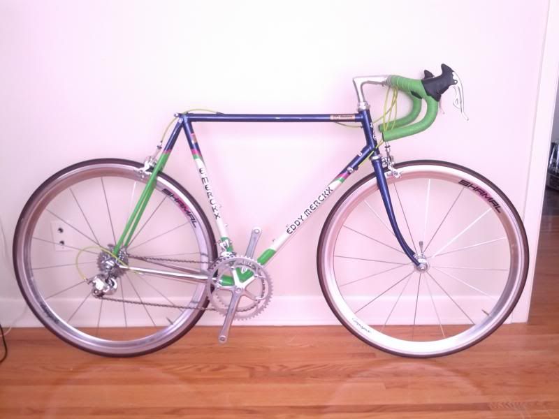 eddy merckx craigslist