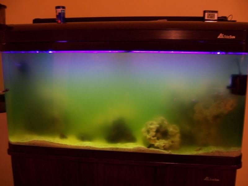 fishtank3.jpg