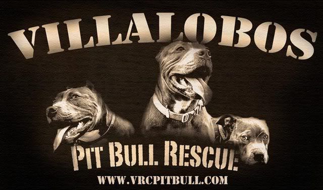 Villalobos_4sm.jpg