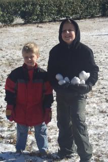 snowballs small