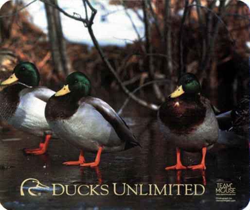 ducks unlimited wallpaper. ducks unlimited Image