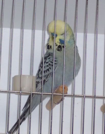 100_2535.jpg
