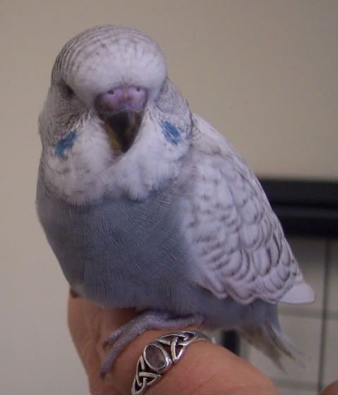 Baby2face.jpg