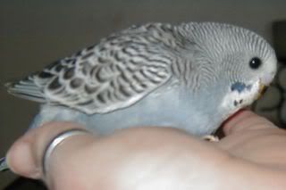 Bebe240907.jpg