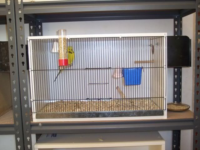Breedingcabinet.jpg