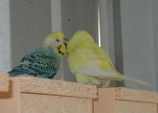 Harleyandhisgirl.jpg