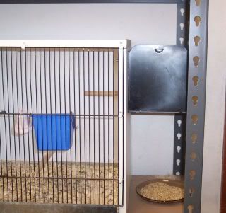 Nestbox.jpg