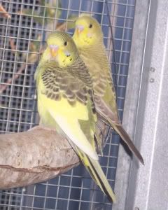TorieandBaby110308.jpg