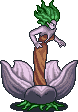 Super Beryl Super Beryl
