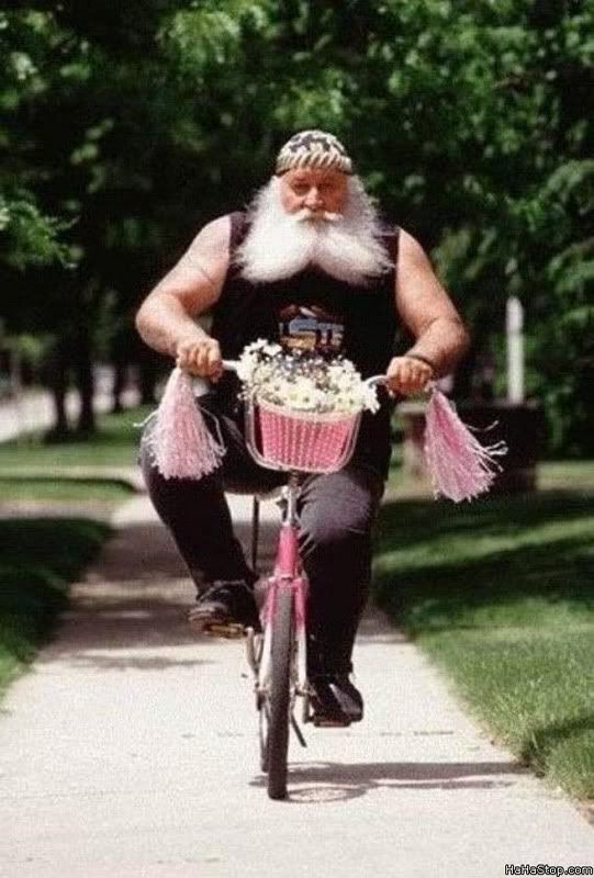 Santa_Pink_Bike.jpg