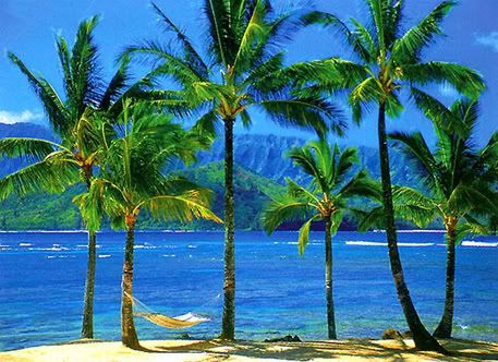 hawaiinparadise.jpg