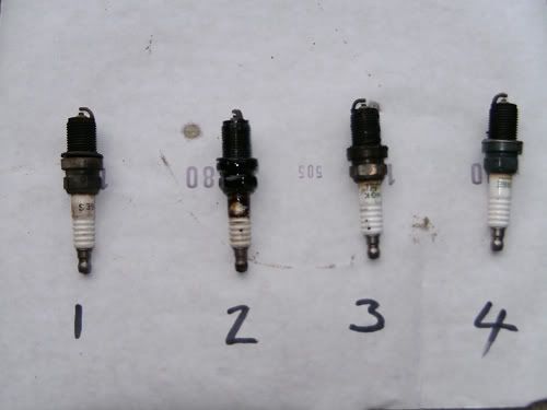 SparkPlugs_PS.jpg