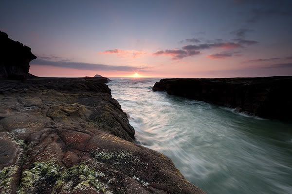 IMAGE: http://i142.photobucket.com/albums/r88/blackcap80/IMG_1695.jpg