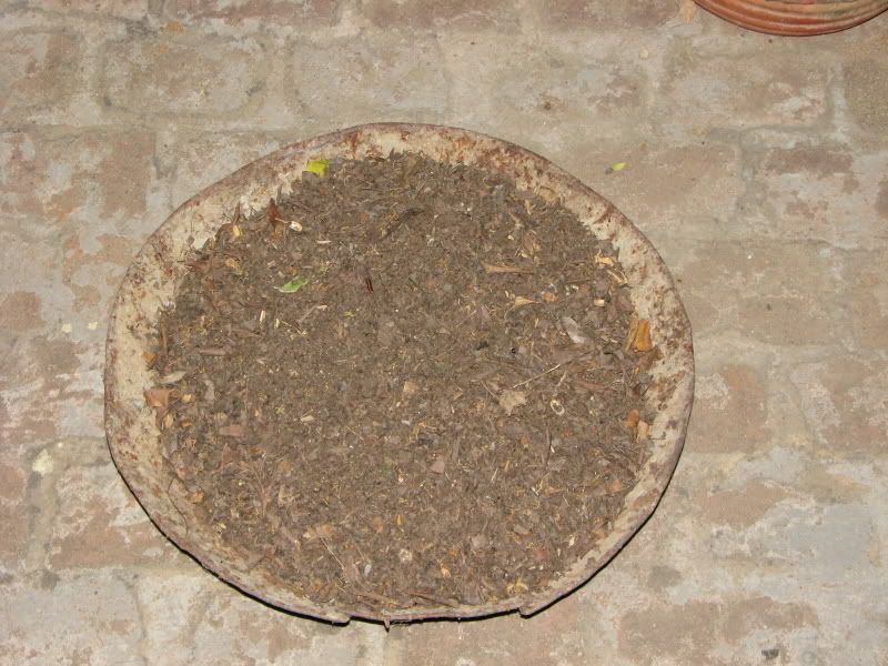 7ec23f75.jpg