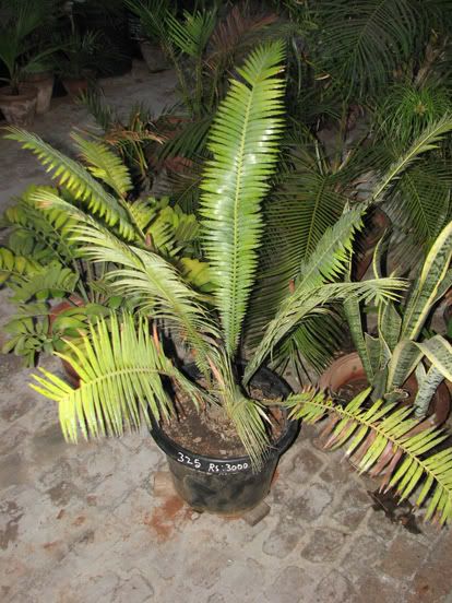 IMG_0069.jpg