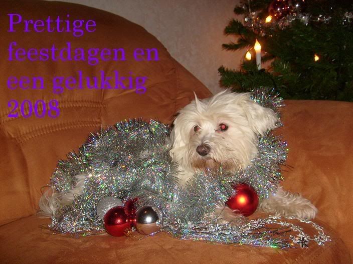 [img width=704 height=528]http://i142.photobucket.com/albums/r90/mienmem/6pebinm.jpg[/img]