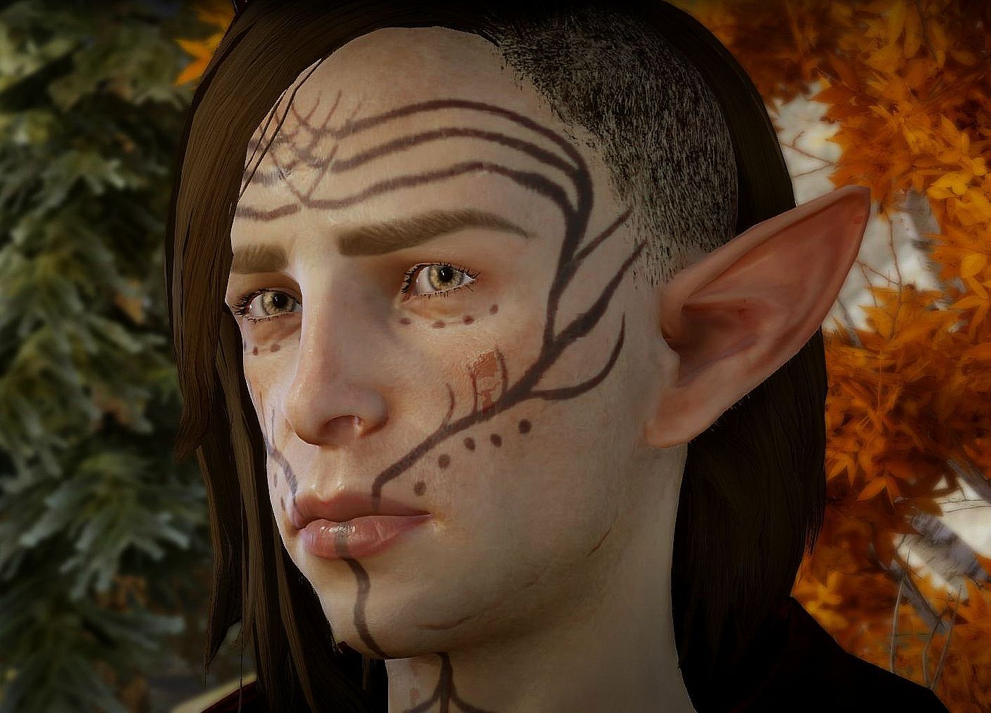 DragonAgeInquisition%202015-07-20%2013-5