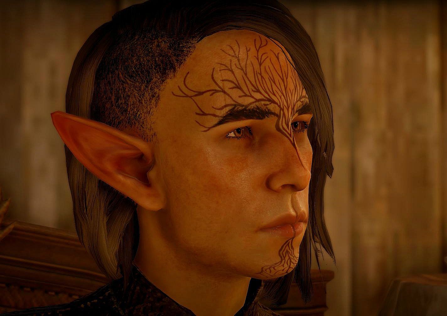 DragonAgeInquisition%202015-08-15%2018-4