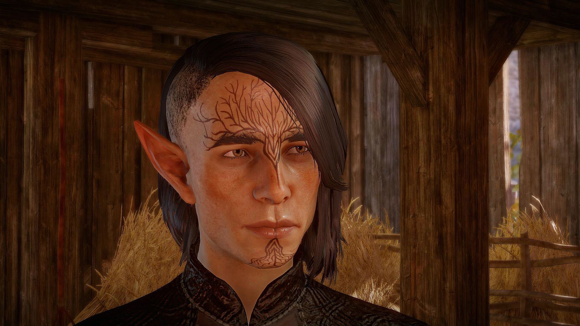 DragonAgeInquisition%202015-08-23%2018-0