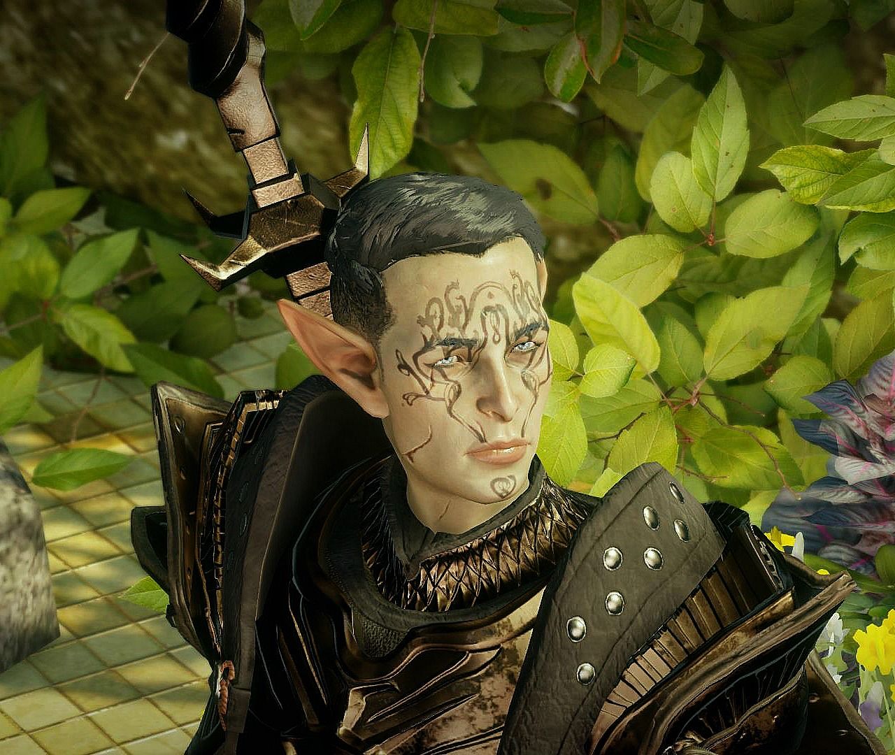 DragonAgeInquisition%202015-05-24%2019-4