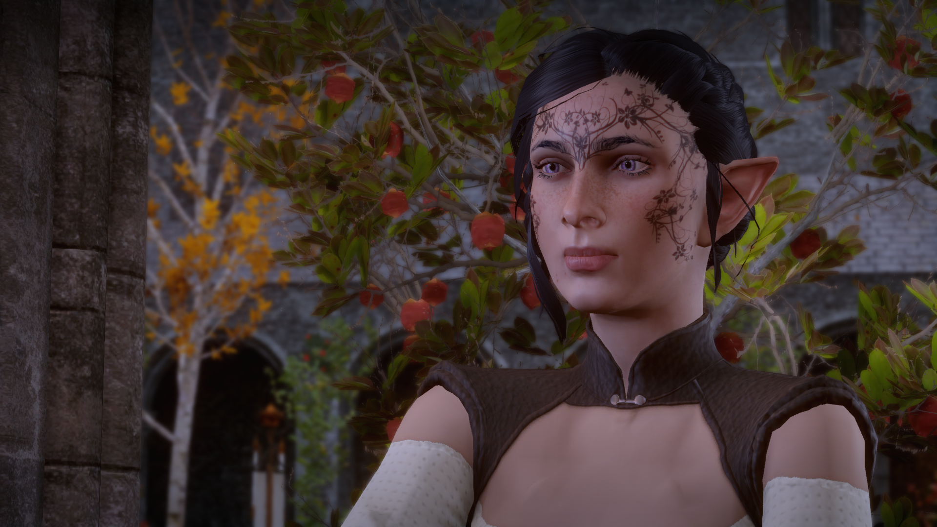 DragonAgeInquisition%202016-05-23%2000-2