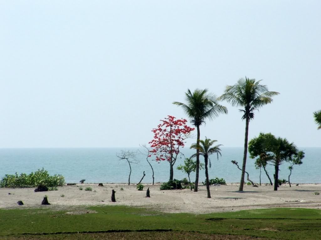 beach of bangladesh