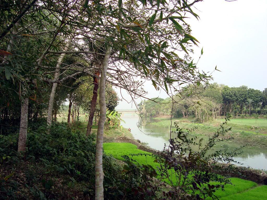 Bangladesh Sceneries