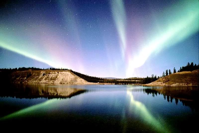 aurora borealis Pictures, Images and Photos