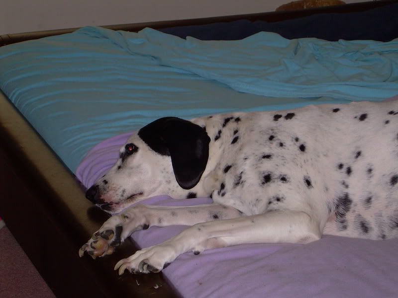 DSCN1509.jpg
