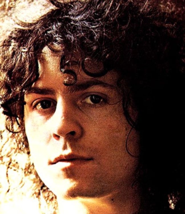 The Beautiful Marc Bolan 