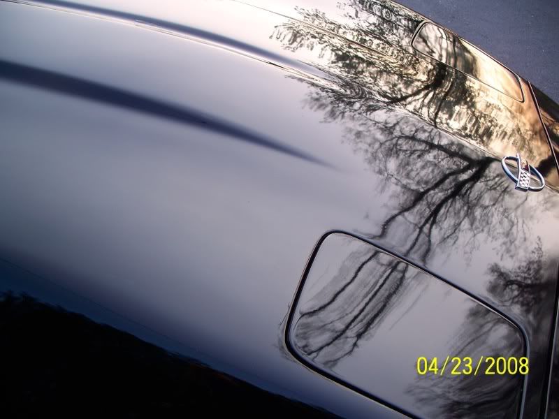 100_1450.jpg