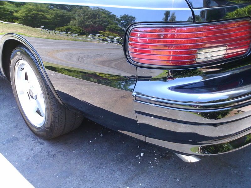 Impala028.jpg