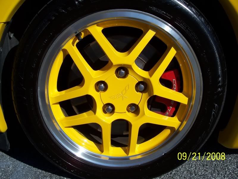 ZainodZO6017.jpg