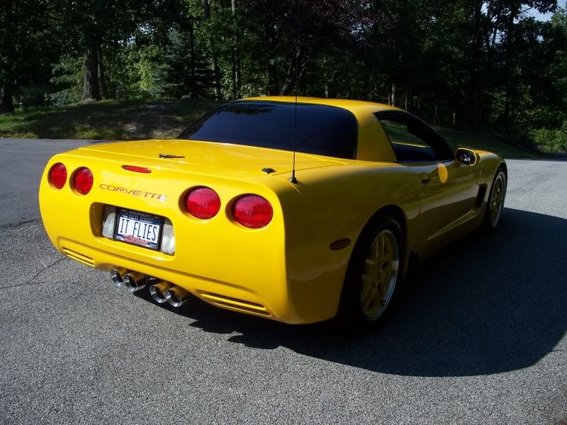 ZainodZO6033.jpg