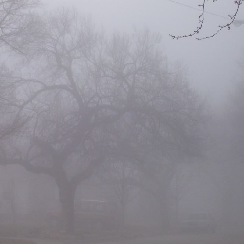 foggy day Pictures, Images and Photos