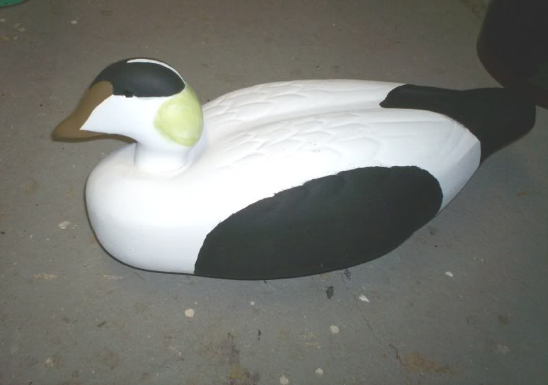 F/S Toledo Decoy Super Magnum Eider Heads Duck Hunting Forum