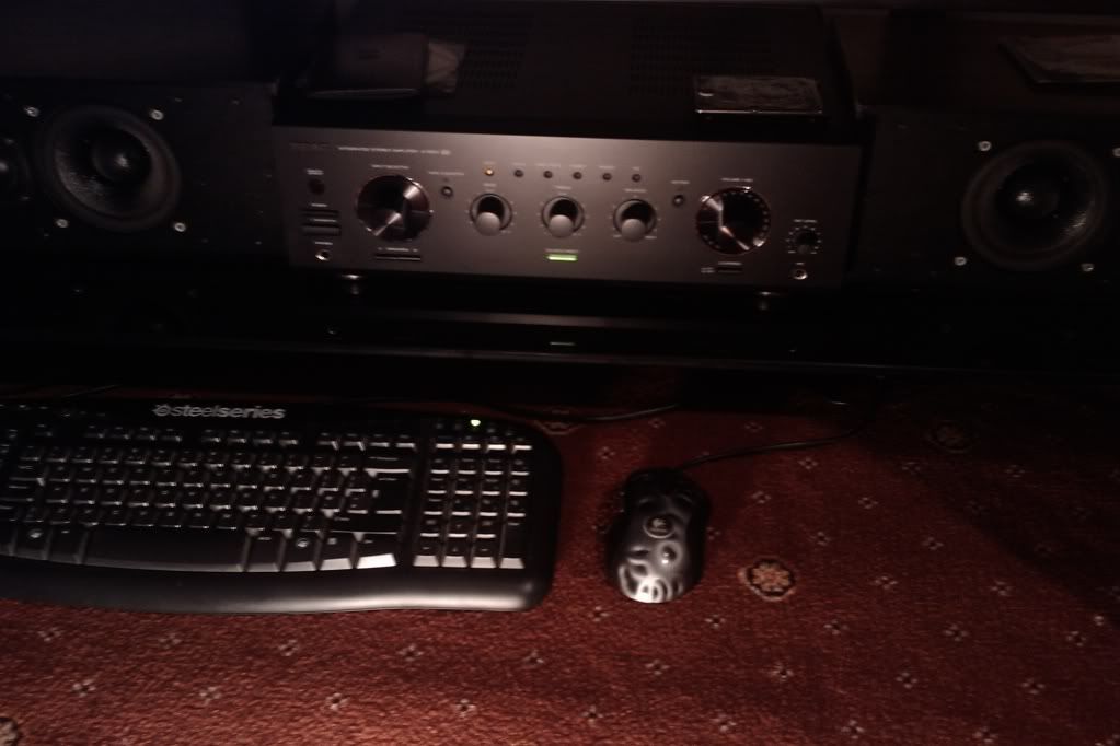 IMAG0303.jpg