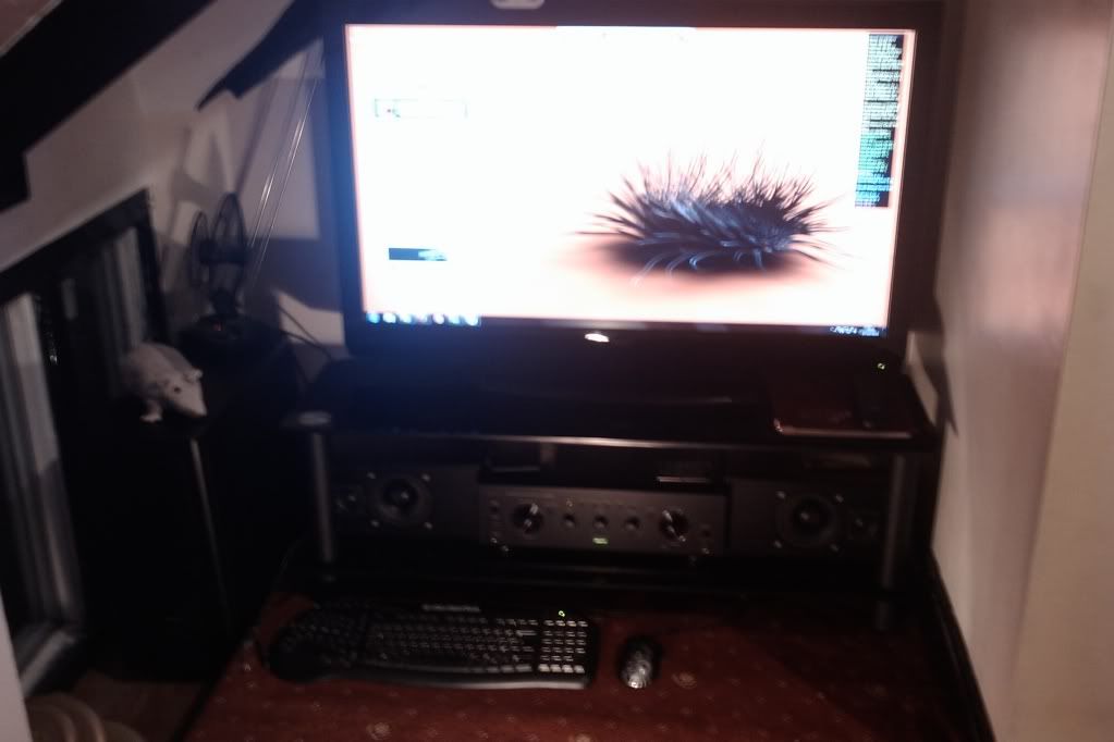 IMAG0305.jpg