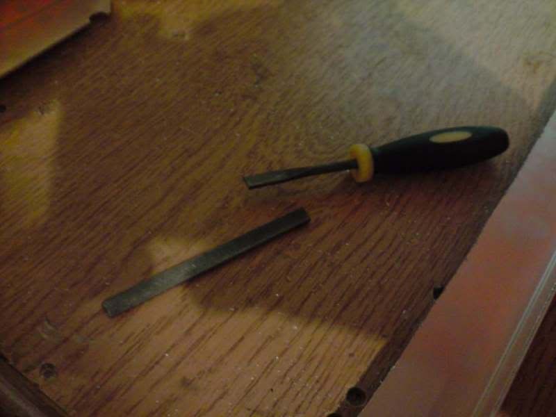 P280508_220102.jpg