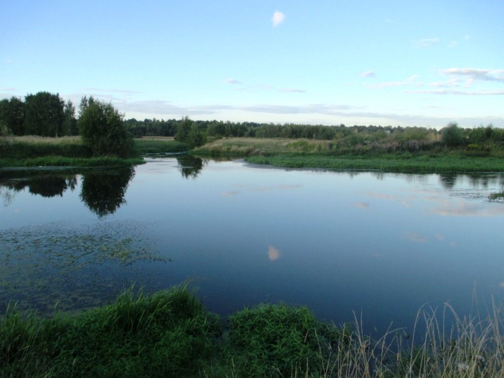 photo IMG_3103_zpscquyedyw.jpg